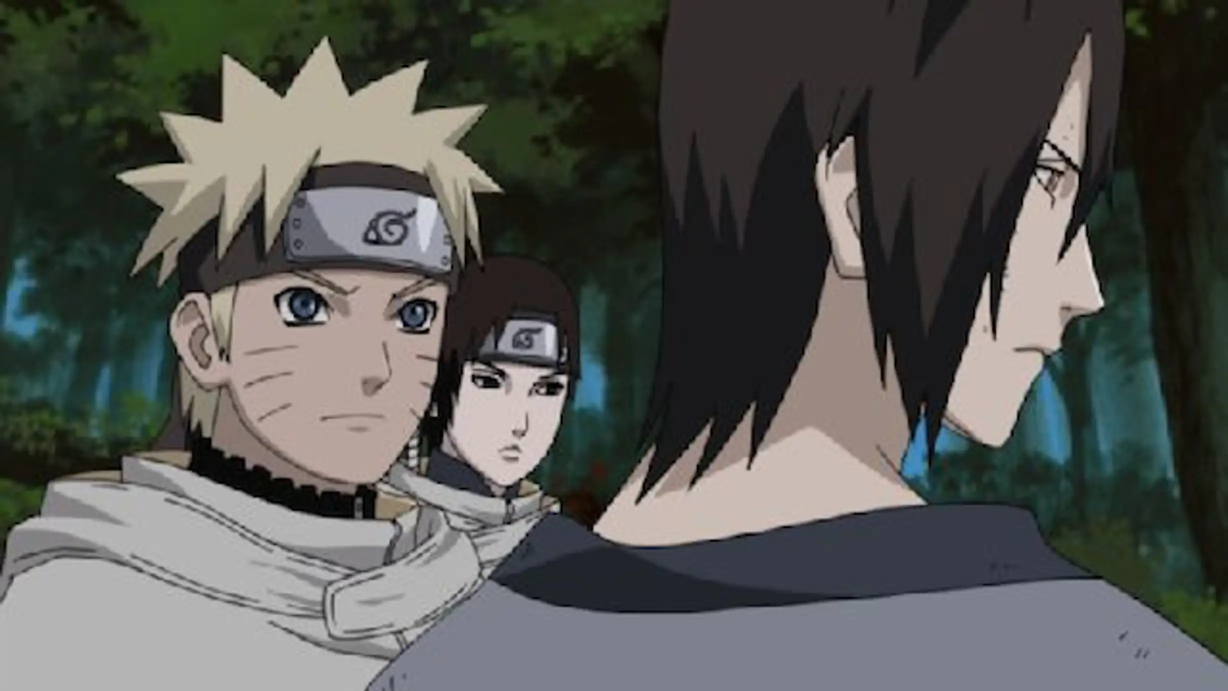 Naruto ナルト 疾風伝 367 抜け忍の過去 アニメ 07年 の動画視聴 あらすじ U Next