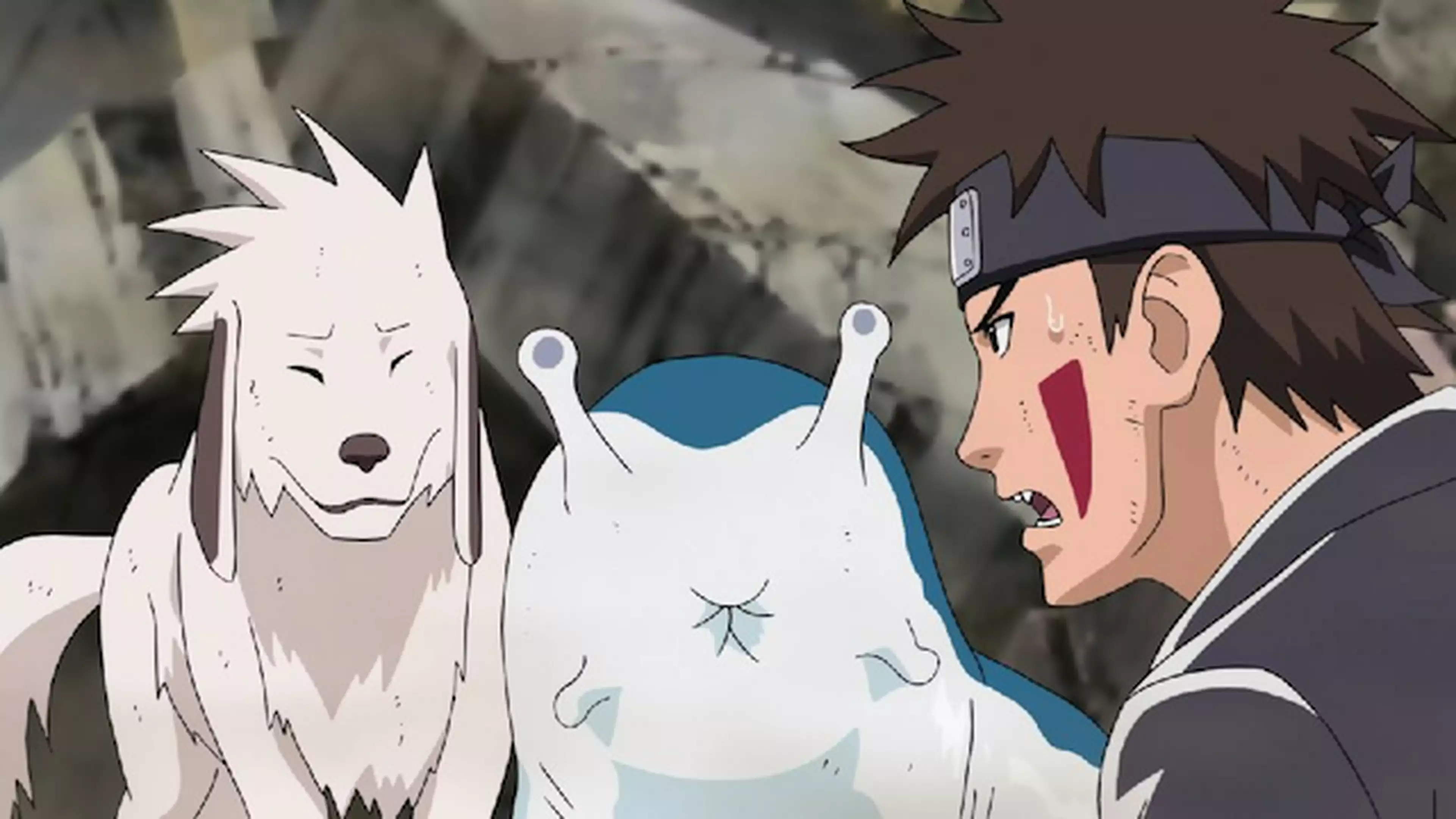 Naruto ナルト 疾風伝 385 九尾捕獲完了 アニメ 07年 の動画視聴 あらすじ U Next