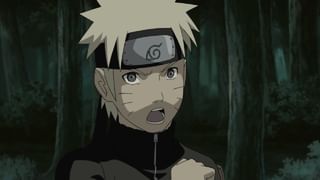 NARUTO-ナルト- 疾風伝 #243 「父」と「母」(アニメ / 2007) - 動画