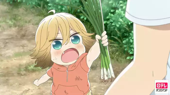 いりこだし