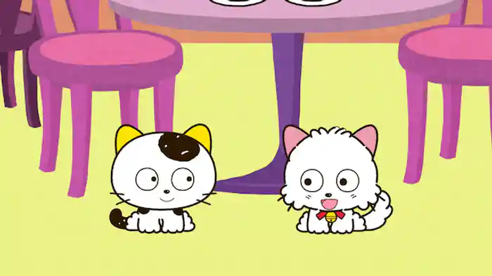 モモはカフェネコ