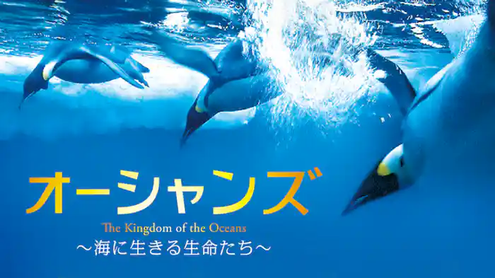 サンゴ礁に住まう生き物たち