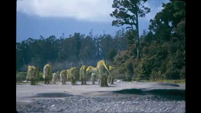 地の果て 白亜紀中期
