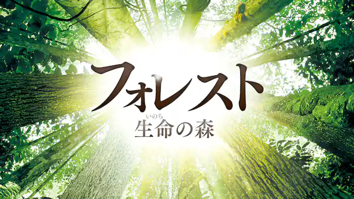 フォレスト　生命（いのち）の森