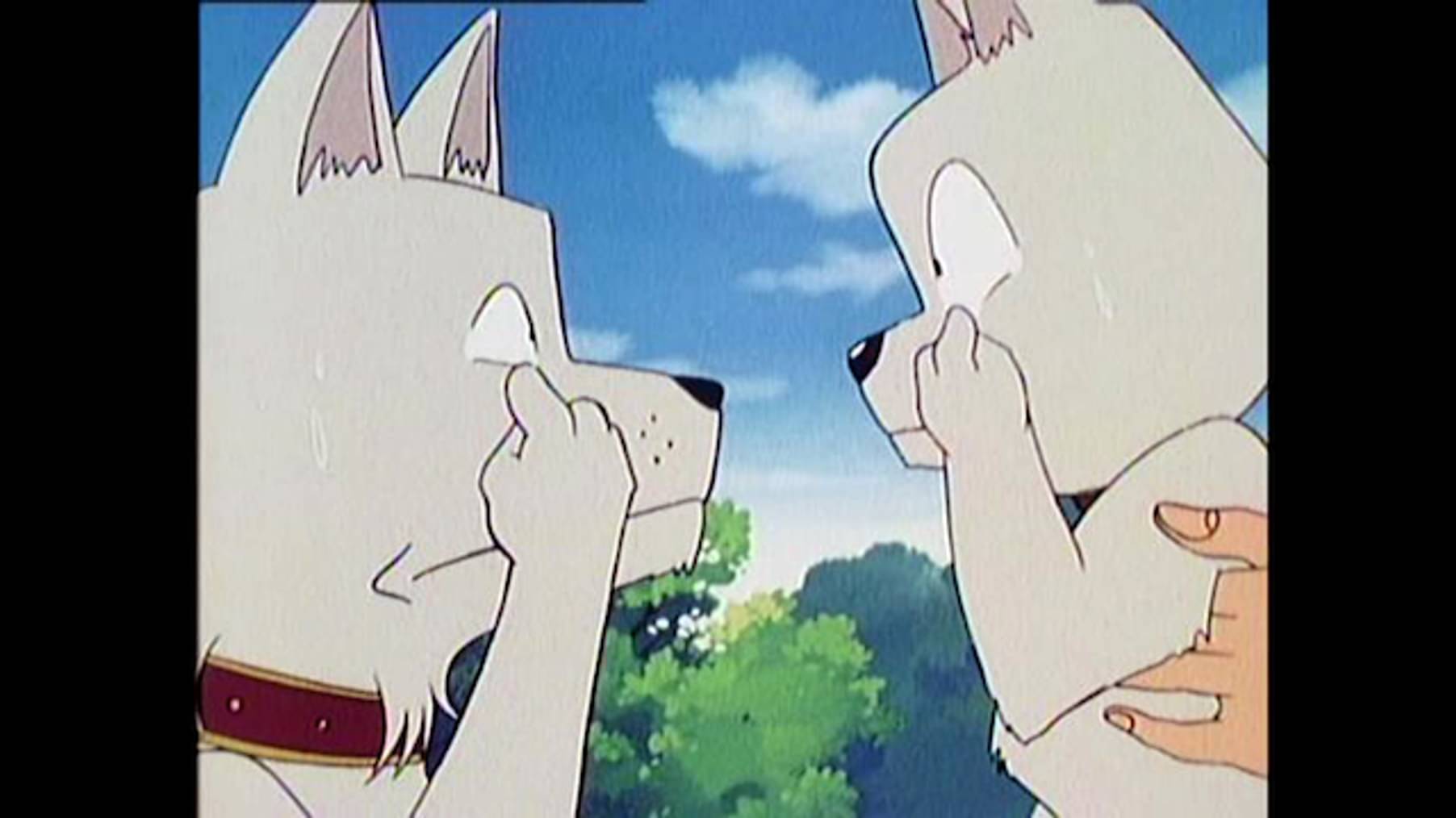 ハイスクール 奇面組 第78話 悩みバクハツ 父になったラッシー アニメ 1985 の動画視聴 U Next 31日間無料トライアル