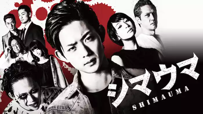 シマウマ