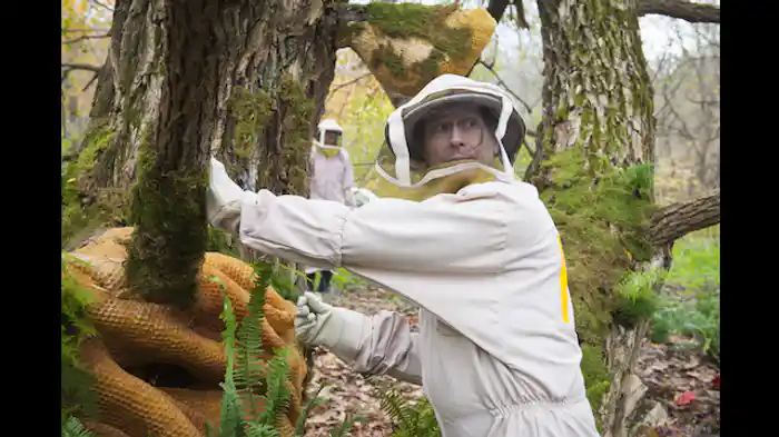 Takiawase（炊合せ）