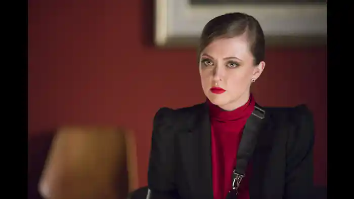 Su-zakana（酢肴）