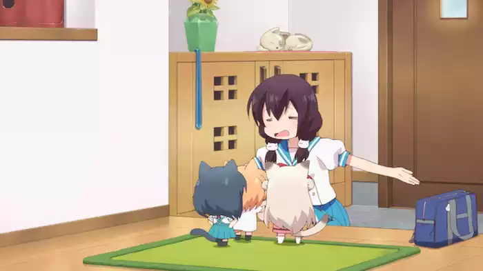 「私と、にゃんこ達」