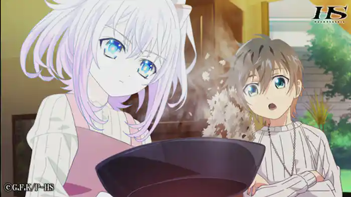 Festival and Carnival