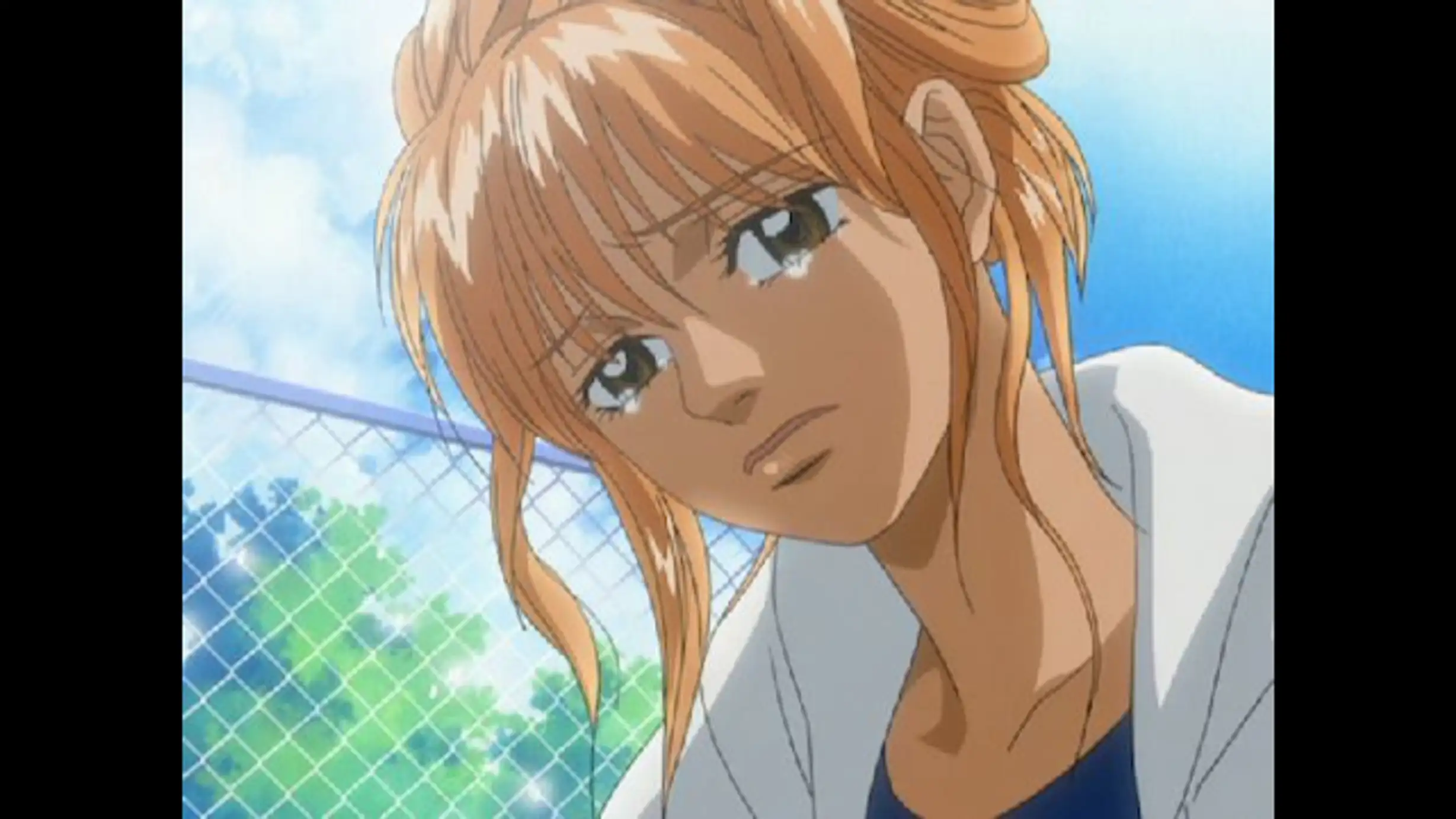 ピーチガール 17 純愛一直線 アニメ 2005年 の動画視聴 あらすじ U Next