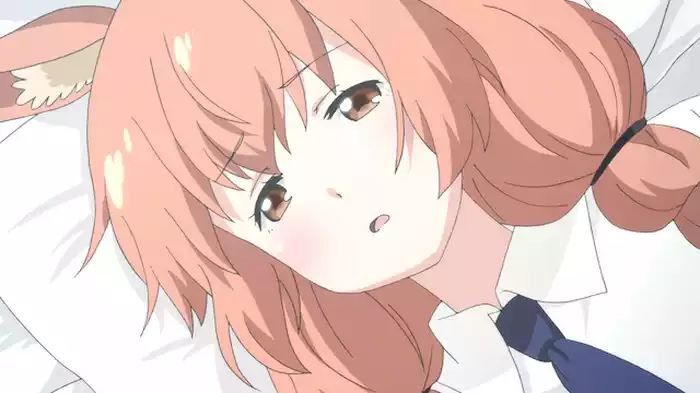 南極人って噂が一人歩きしてるみたい。/でも、結局、南極人って歴史もルーツも謎だよね。