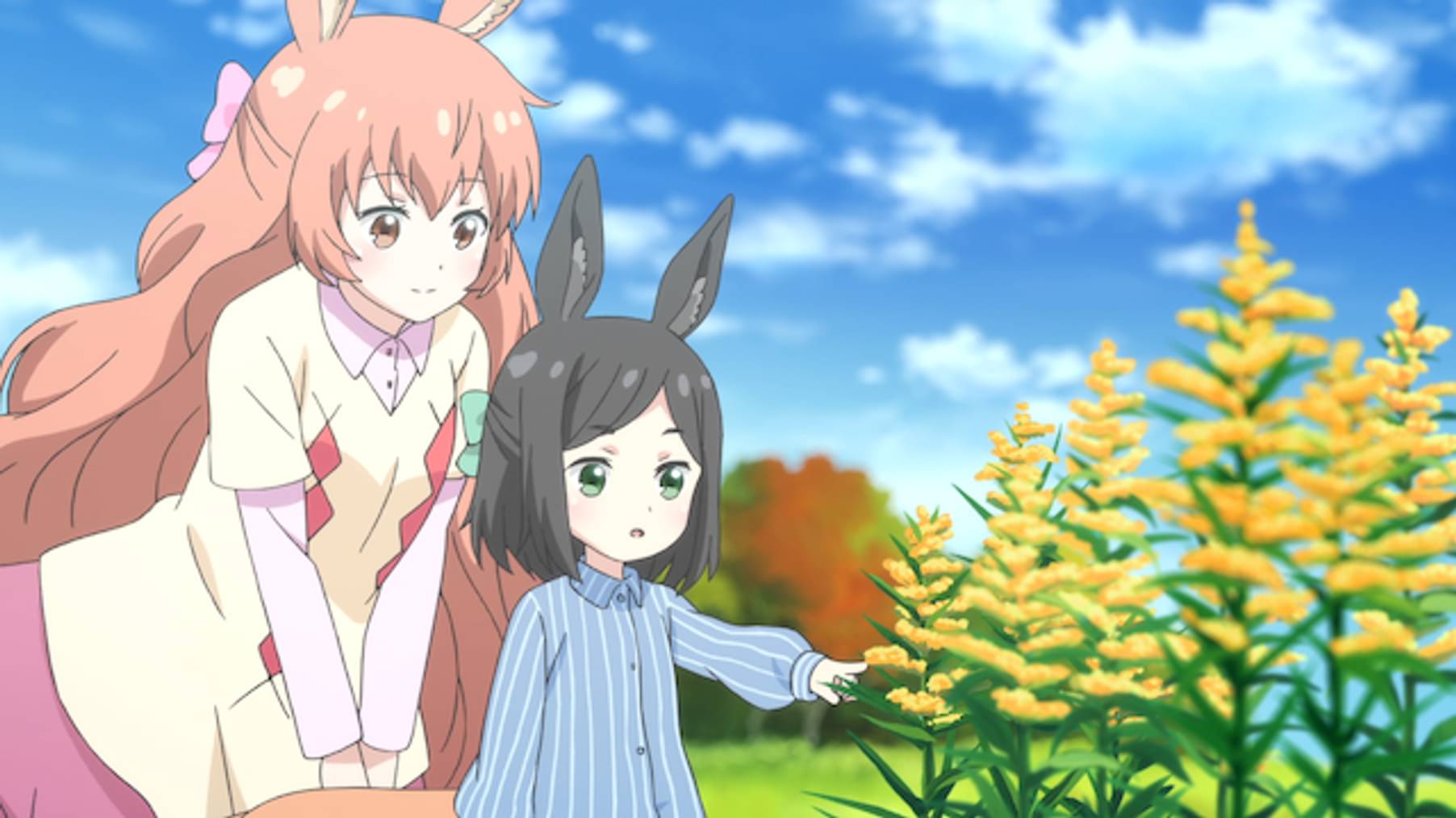 セントールの悩み 11 花の名前は は人の数だけあるんだよ ってきっと嘘 美しさは人の数だけあるんだよ 広義で言えばきっと本当 アニメ 17 の動画視聴 U Next 31日間無料トライアル