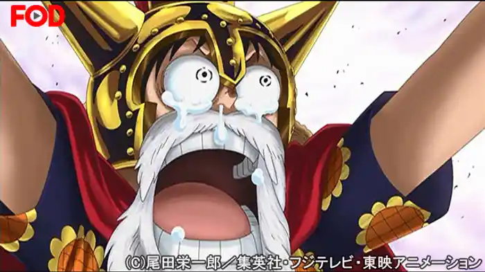 ルフィ驚愕 エースの意思を継ぐ男