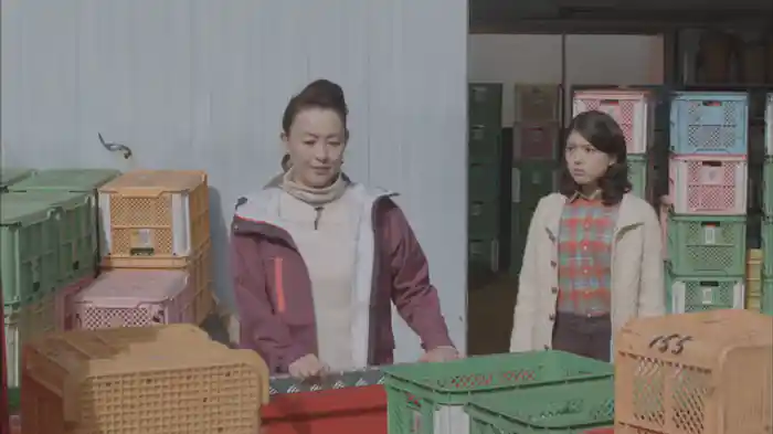 福岡恋愛白書11　キミと見る景色