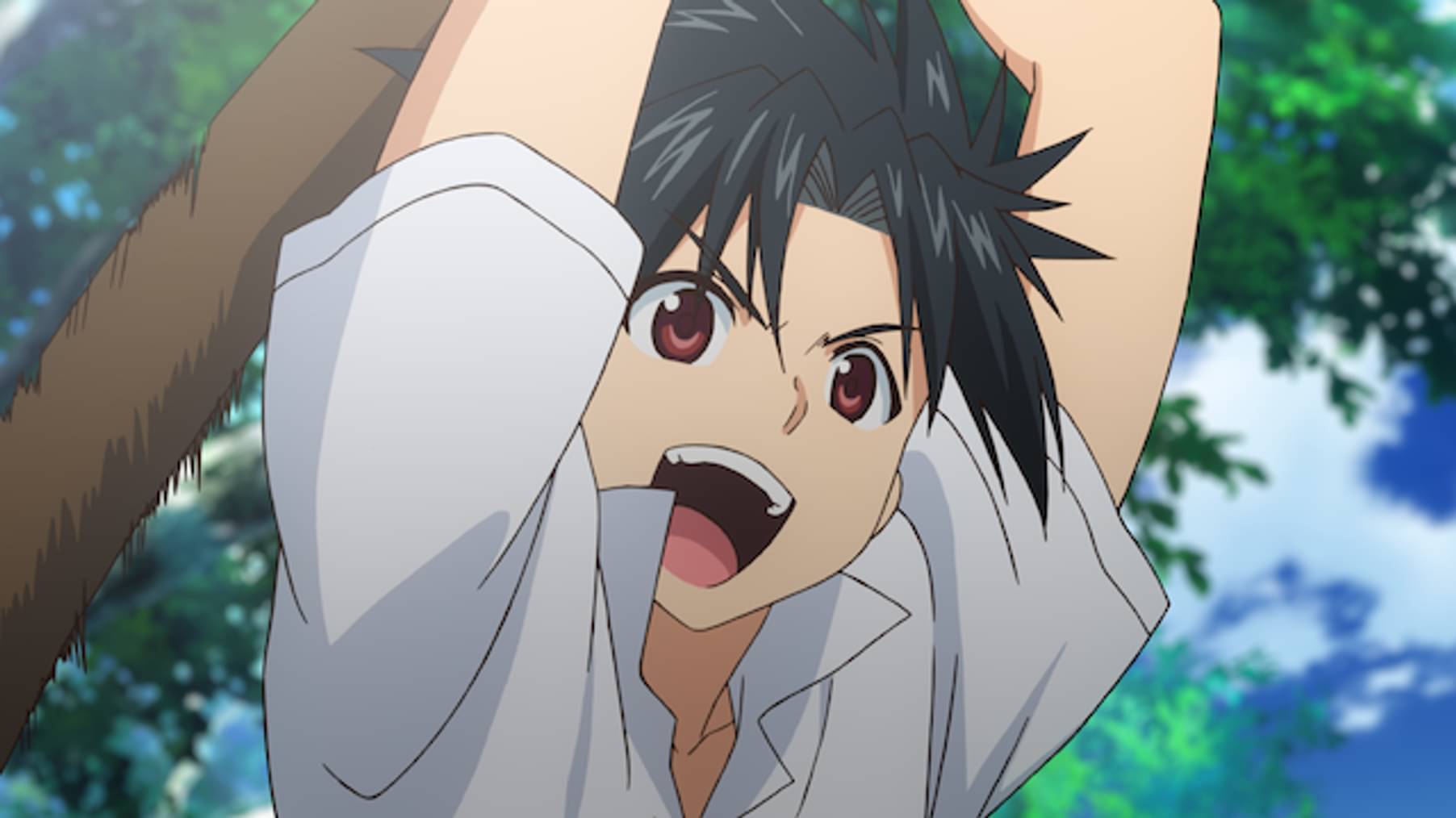 Uq Holder 魔法先生ネギま 2 アニメ 17 の動画視聴 U Next 31日間無料トライアル