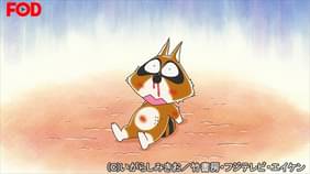 ぼのぼの 86 アライグマくんが負けた アニメ 16 の動画視聴 U Next 31日間無料トライアル ぼのぼの 86 アライグマくんが負けた アニメ 16 の動画視聴 U Next 31日間無料トライアル