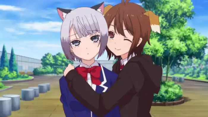 破れてたって…どうしよう!?