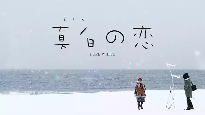 真白の恋