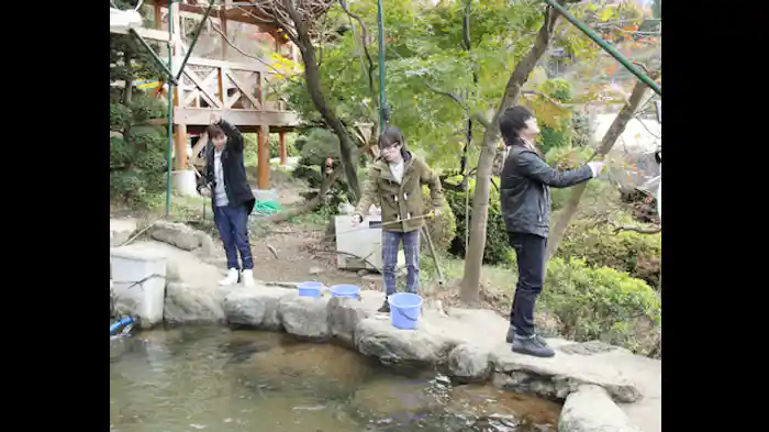 紅葉には気をつけろ