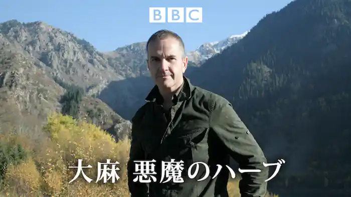 大麻 悪魔のハーブ