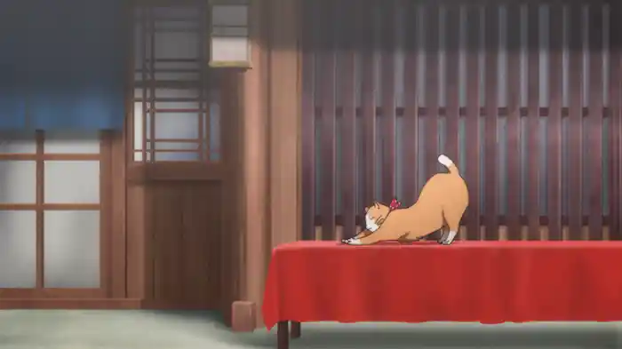 「お茶屋の秘密」