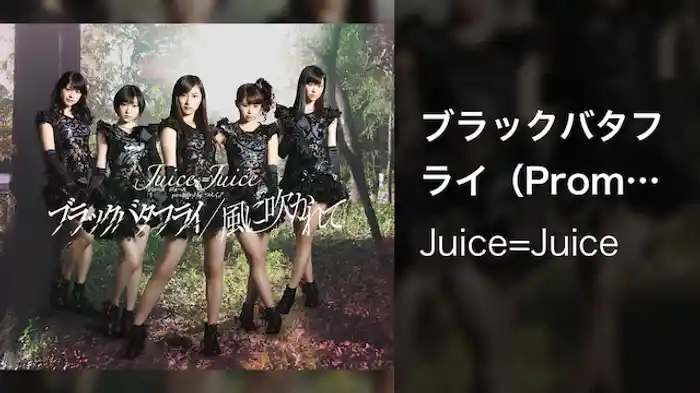 Juice=Juice『ブラックバタフライ』（Promotion edit）