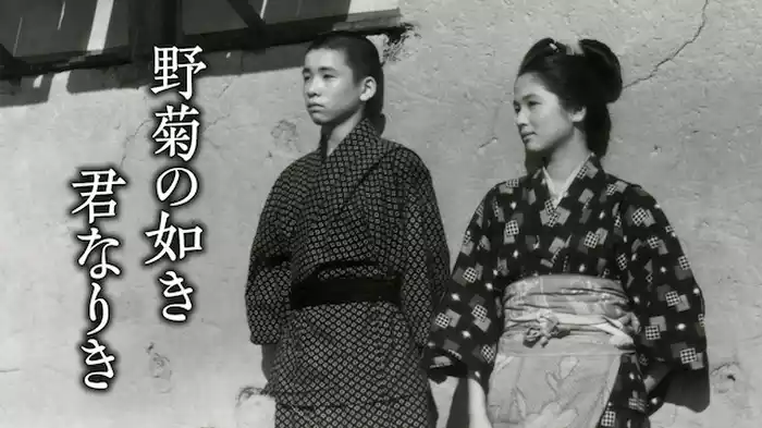 野菊の如き君なりき