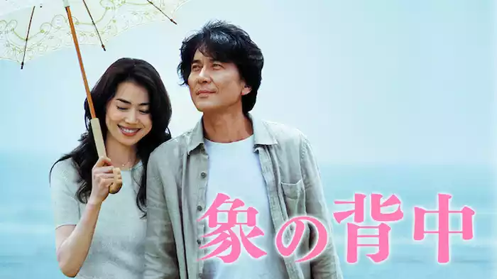 象の背中