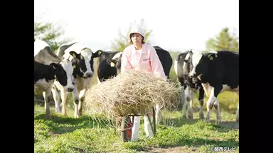 牛に願いを ｌove Farm 11 走れ夢をのせて 国内ドラマ 07年 の動画視聴 あらすじ U Next