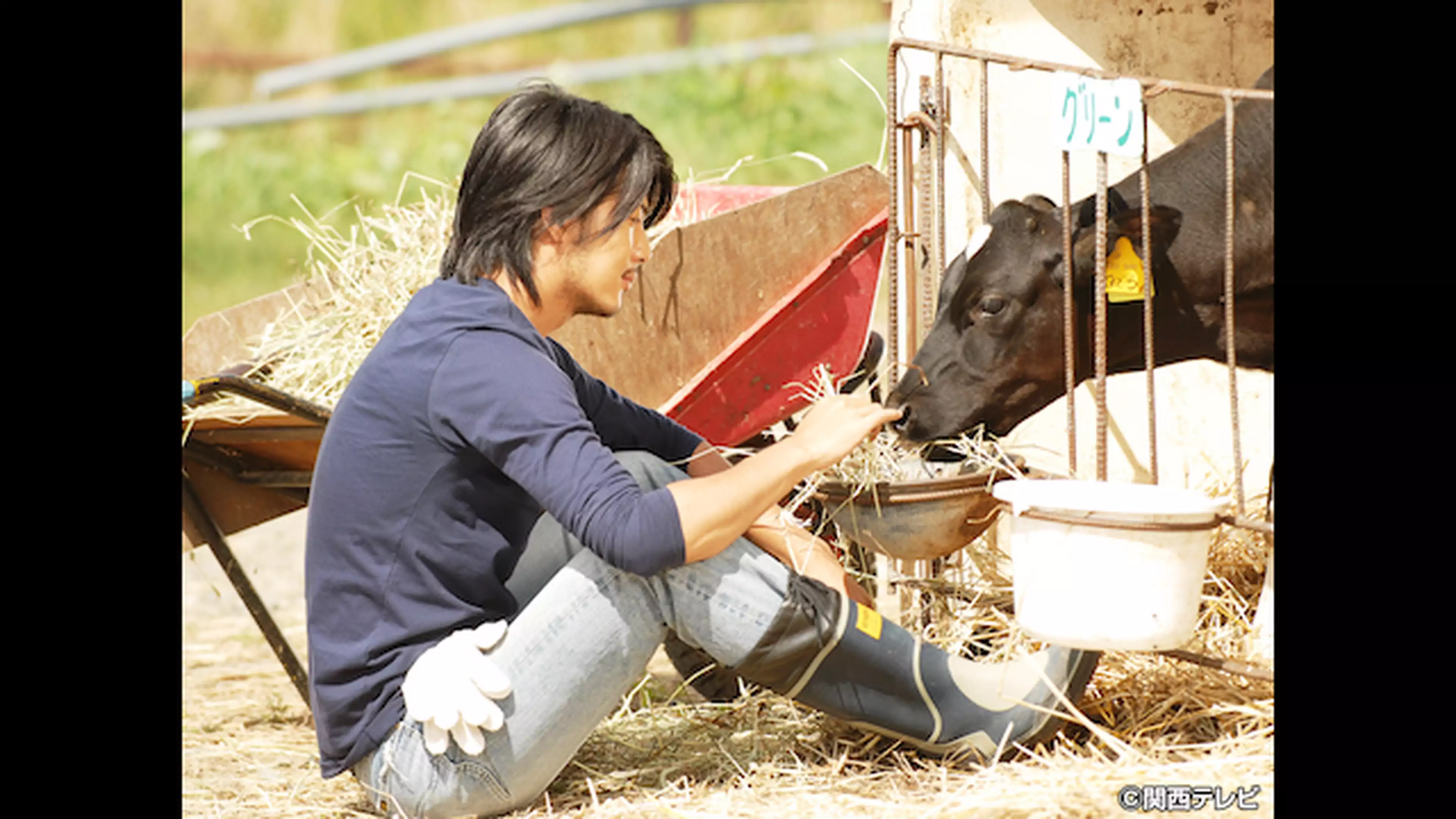 牛に願いを ｌove Farm 10 そして愛は永遠に 国内ドラマ 07年 の動画視聴 あらすじ U Next