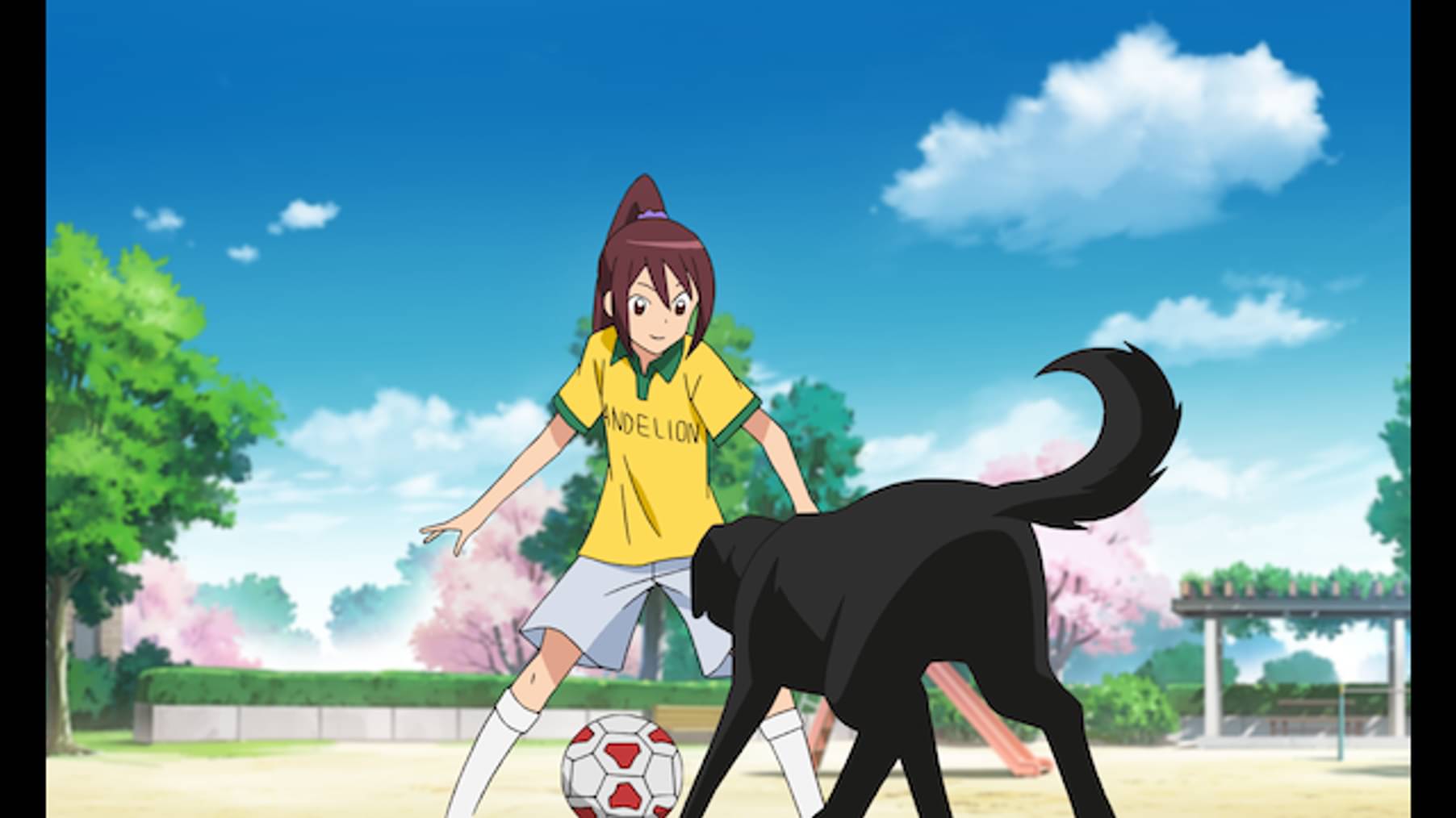 銀河へキックオフ アニメ 12 の動画視聴 U Next 31日間無料トライアル
