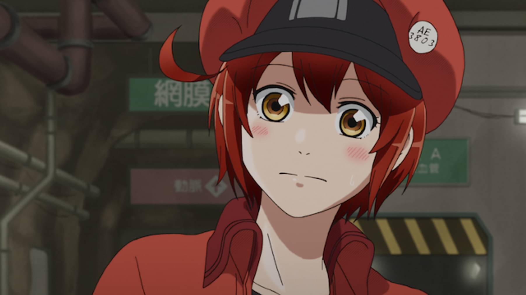 はたらく細胞 第9話 胸腺細胞 アニメ 18 の動画視聴 U Next 31日間無料トライアル