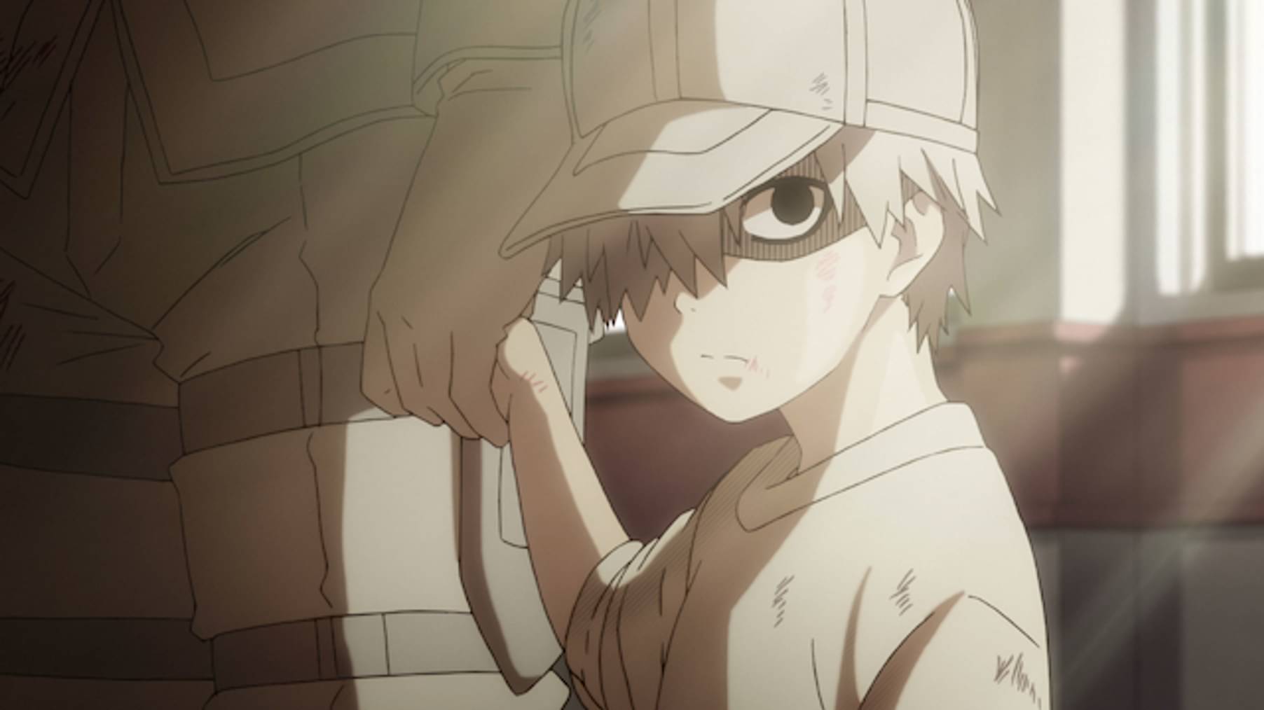 はたらく細胞 第2話 すり傷 アニメ 18 の動画視聴 U Next 31日間無料トライアル