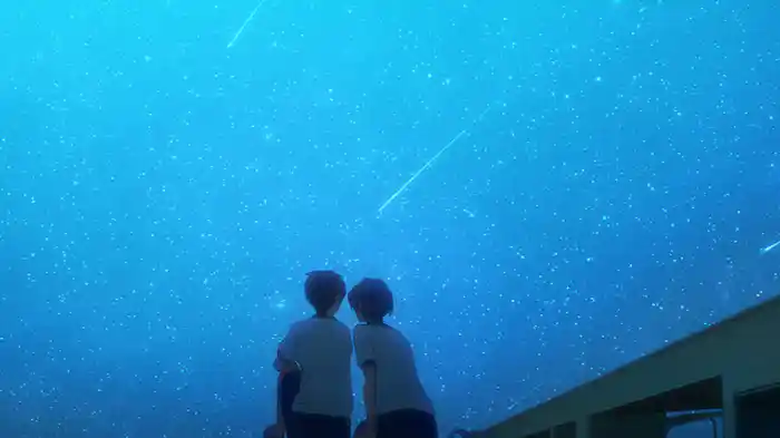 流星のプロミス!