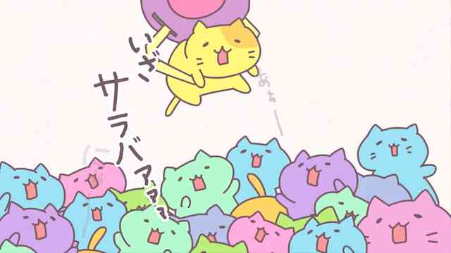みっちりねこ
