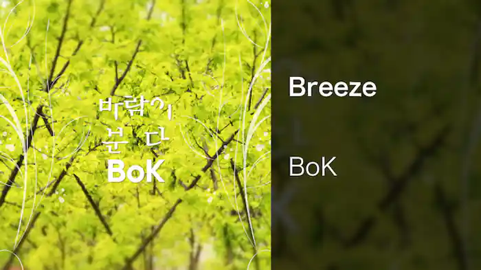 【MV】Breeze/BoK