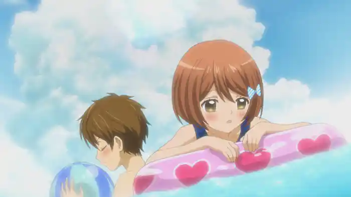 オリヒメヒコボシ