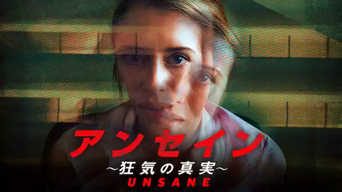アンセイン　狂気の真実