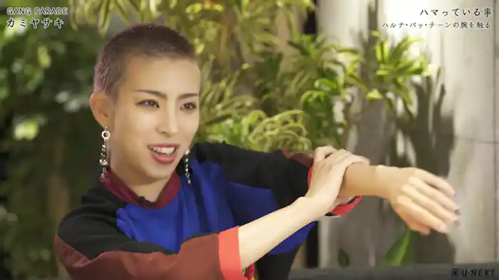 カミヤサキのハマっていること