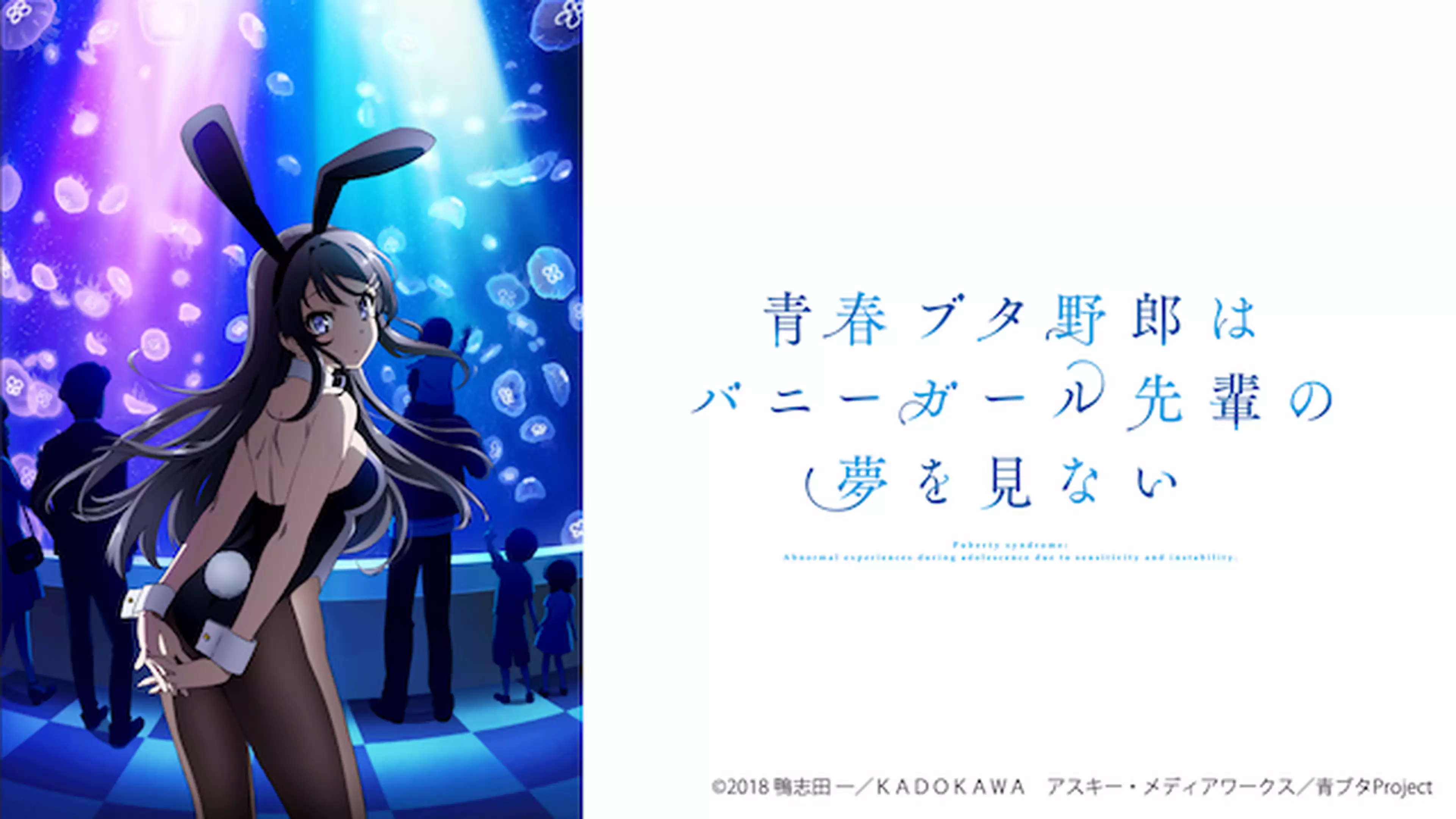 青春ブタ野郎はバニーガール先輩の夢を見ない 3 君だけがいない世界 アニメ 18年 の動画視聴 あらすじ U Next