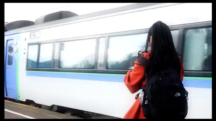 室蘭支線(北海道)