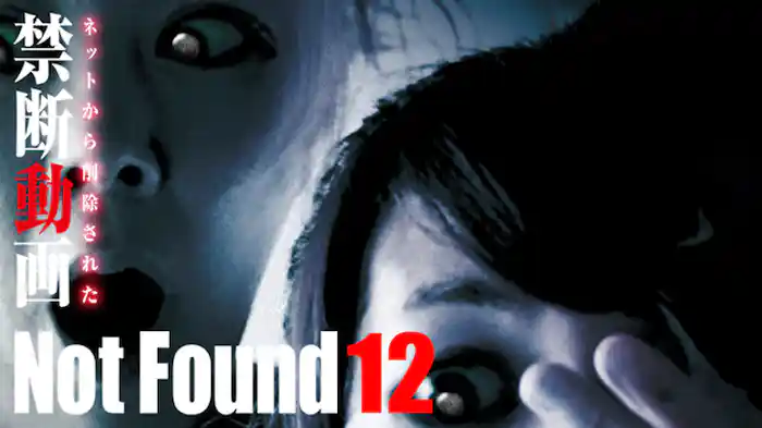 Not Found 12 ネットから削除された禁断動画
