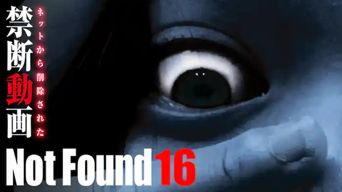 Not Found 16 ネットから削除された禁断動画