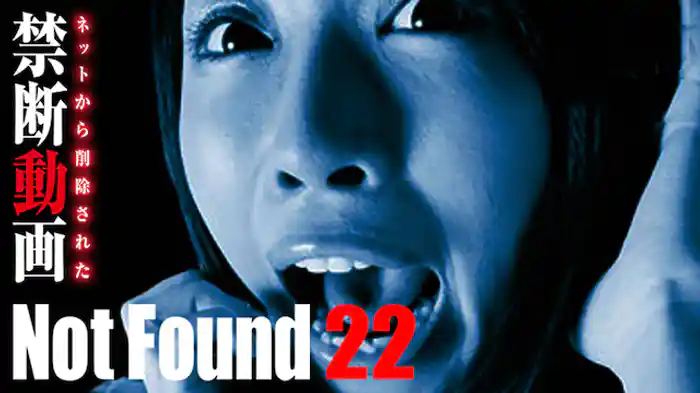 Not Found 22 ネットから削除された禁断動画