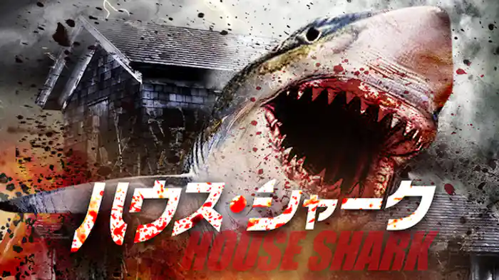 ハウス・シャーク