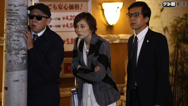 『リーガルV〜元弁護士・小鳥遊翔子』DVD-BOX（サンプル新品未開封） リーガルV～元弁護士・小鳥遊翔子～ 全9話 | Lemino(レミノ