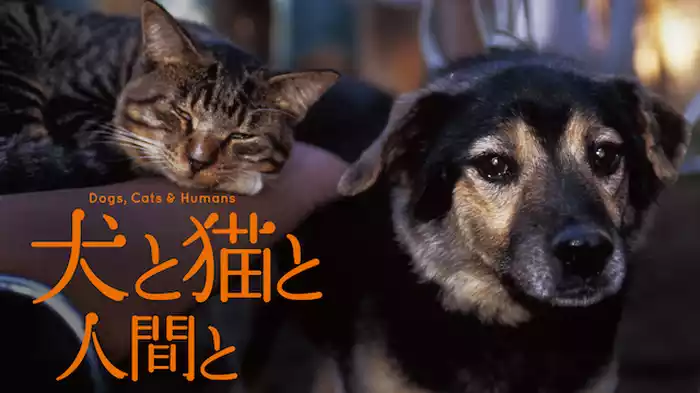 犬と猫と人間と