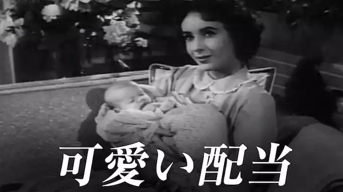 可愛い配当