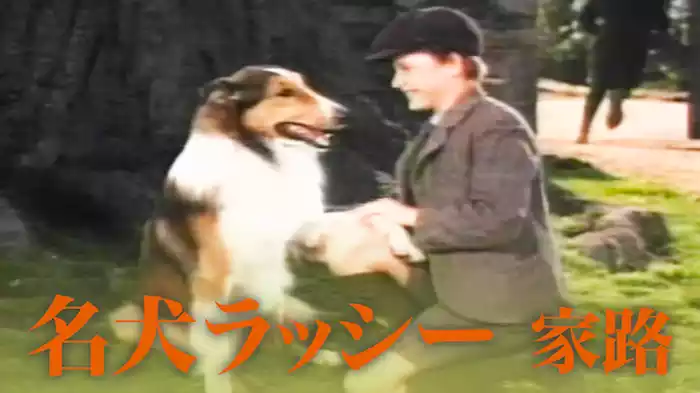 名犬ラッシー 家路